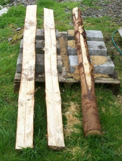 Timber log roll