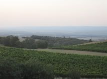 Especificaciones generales. - Vacaciones entre viñedos: la ruta del país Cátaro. (7)