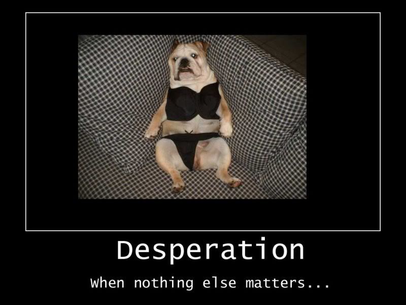 desperation-1.jpg