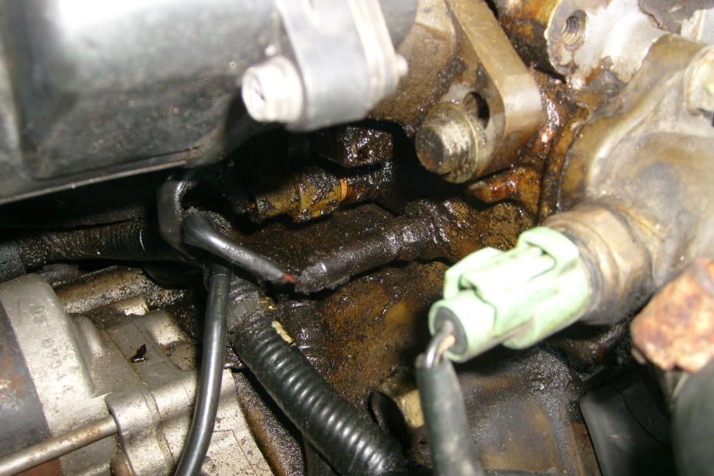 1991 Honda accord antifreeze leak