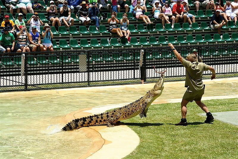 800px-Steve_irwin_at_Australia_zoo.jpg