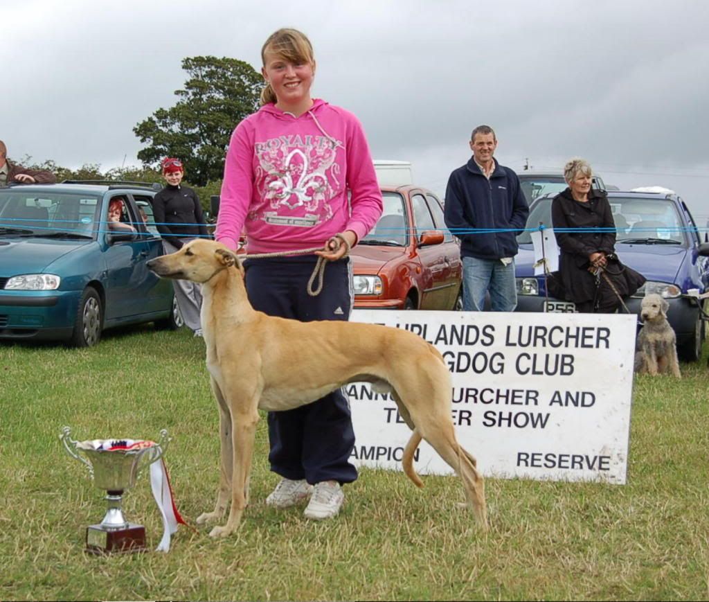 LurcherChamp.jpg