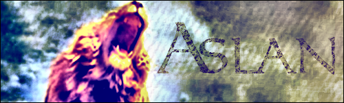 Aslanbanner3.png