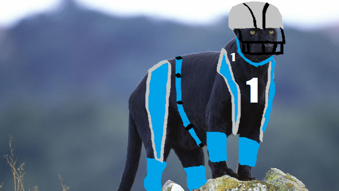 pantherblack_zps4061133e.png