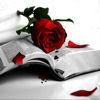 Rose on Bible Pictures, Images and Photos