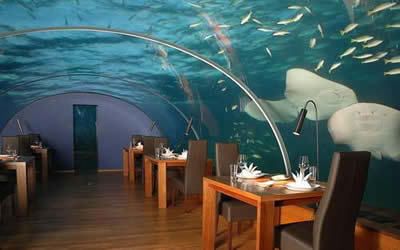 Restaurant bawah laut (MALDIVES)