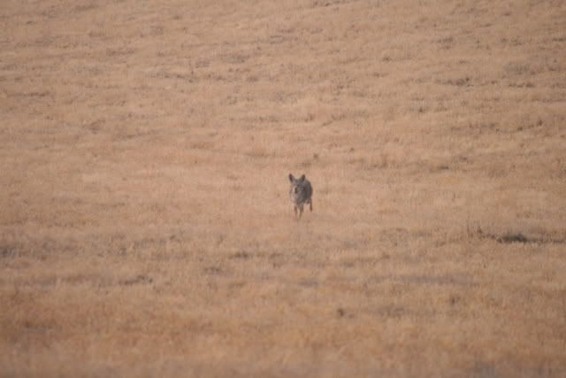 IMG_0258.jpg