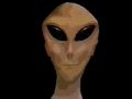 ufo photo: ufo alien3.gif
