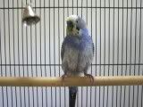themoult4-1.jpg