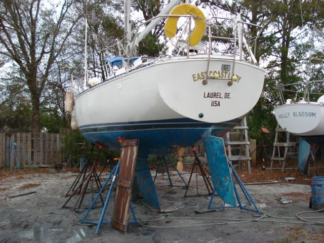 photo EastCoastLady3-9-12001_zps6e2a9d0f.jpg