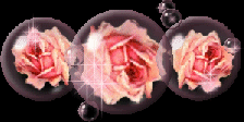 tres2520rosas.gif picture by monoargentino