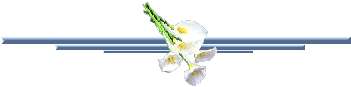 barra2520con2520flor2520blanca.gif picture by monoargentino