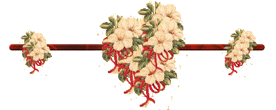 barredfloral1sk.gif picture by monoargentino