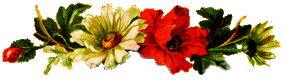 fleurs152Dmlr.gif picture by monoargentino