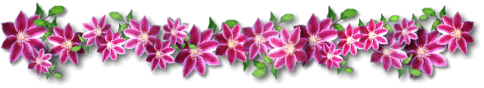 flores01.gif picture by monoargentino
