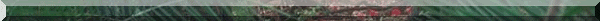 line_a_green.gif picture by monoargentino