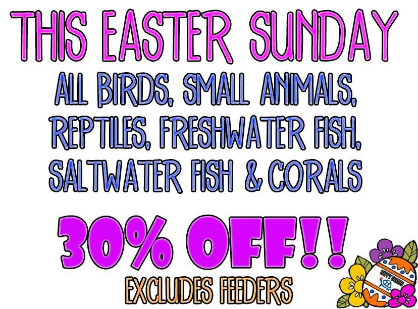 Pet Supreme Easter Sunday Sale