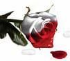 bleeding rose Pictures, Images and Photos
