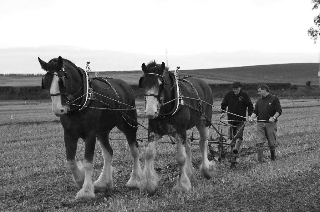 IMAGE: http://i148.photobucket.com/albums/s33/dessie12/IMG_6221-Version2.jpg