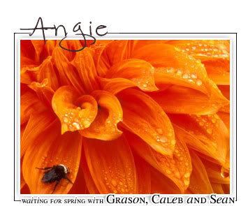 angigsspring2.jpg picture by calebsmoma2000