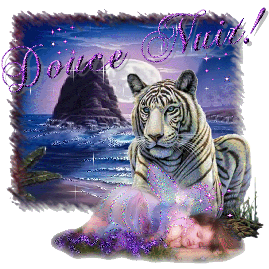bonnuit137.gif