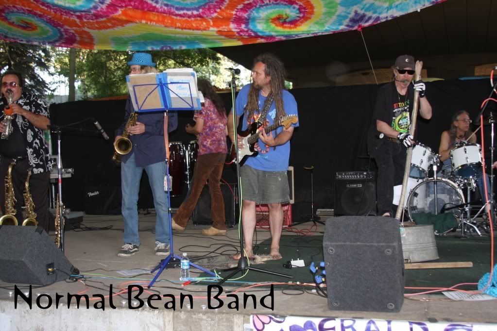 normal bean band