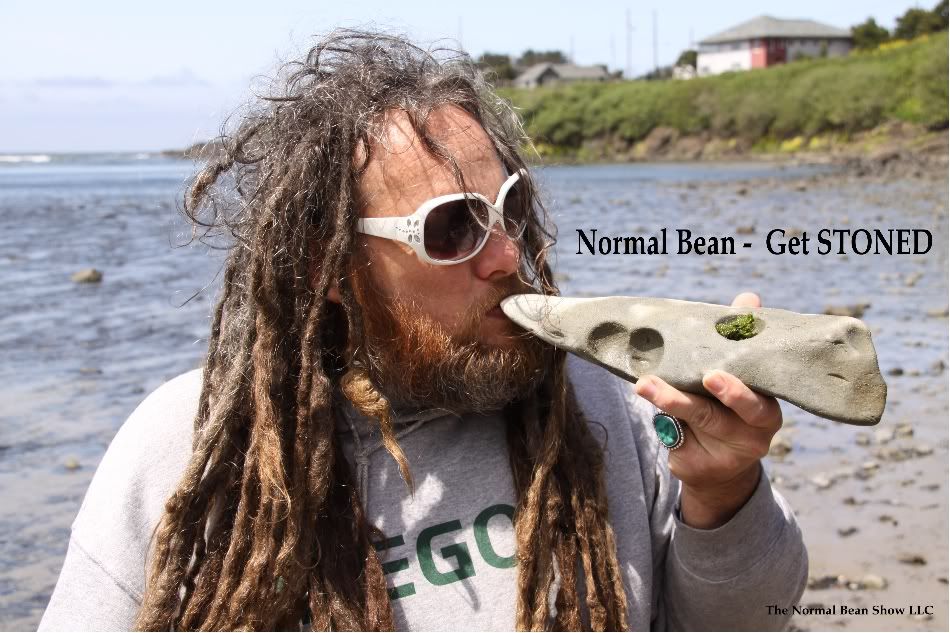 normal bean,marjuana,high times