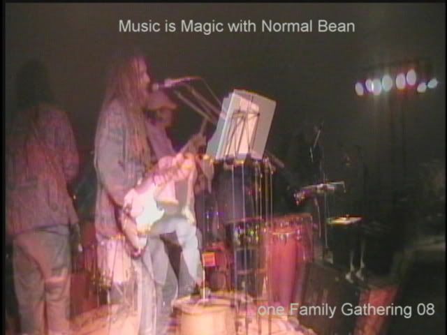 normal bean