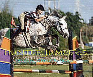 hunter jumper Pictures, Images and Photos