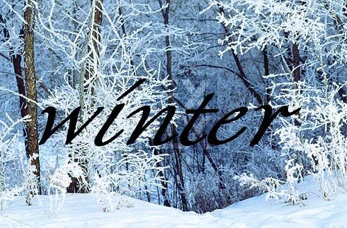 white winters Pictures, Images and Photos
