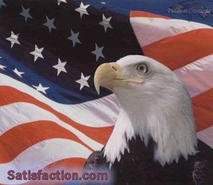 American Bald Eagle - Patriotic Layout