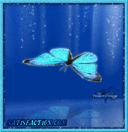 Blue Butterflies Layout