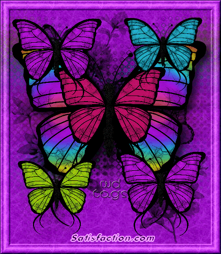 Colorful Butterflies Layout