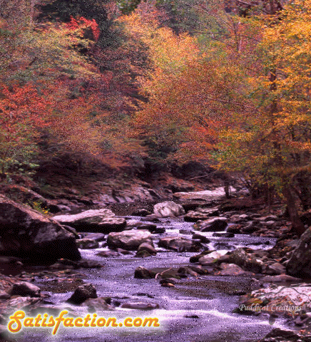 Waterfall - Fall & Autumn Layout