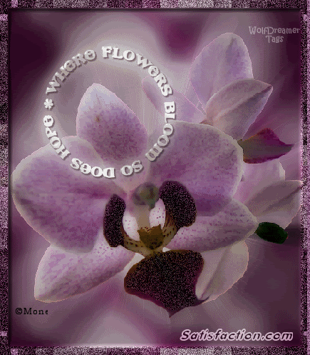 Where Flowers Bloom Layout