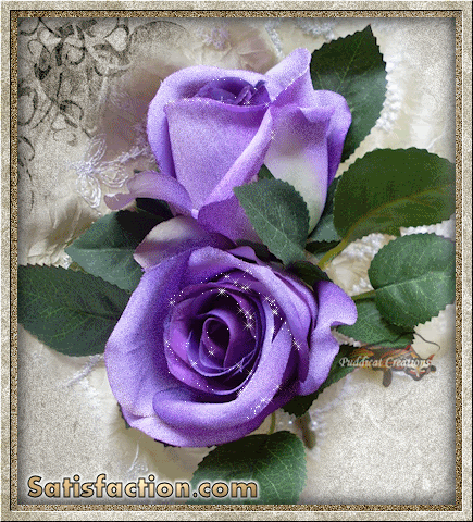 Violet Roses Layout
