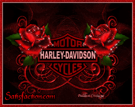 Harley Davidson Red Roses Layout
