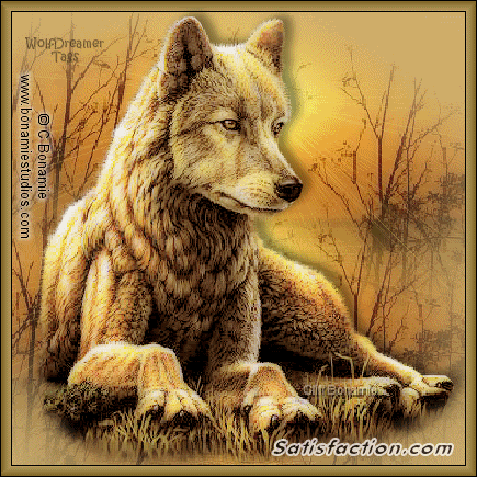 Watchful Wolf, Native American Layout