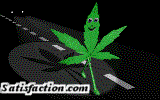 Weed, Marijuana and 420 Pictures, Comments, Images, Graphics