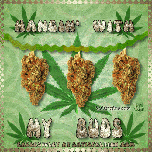 Weed, Marijuana and 420 MySpace Comments and Graphics