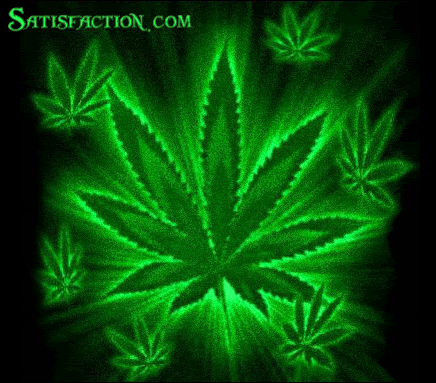 Weed and Marijuana MySpace Comments and Graphics