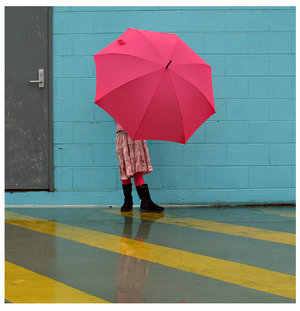 Pink Umbrella Pictures, Images and Photos