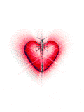 040920_butterfly.gif