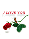 040920_butterly_rose.gif
