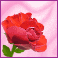 1036-027-08-1068.gif