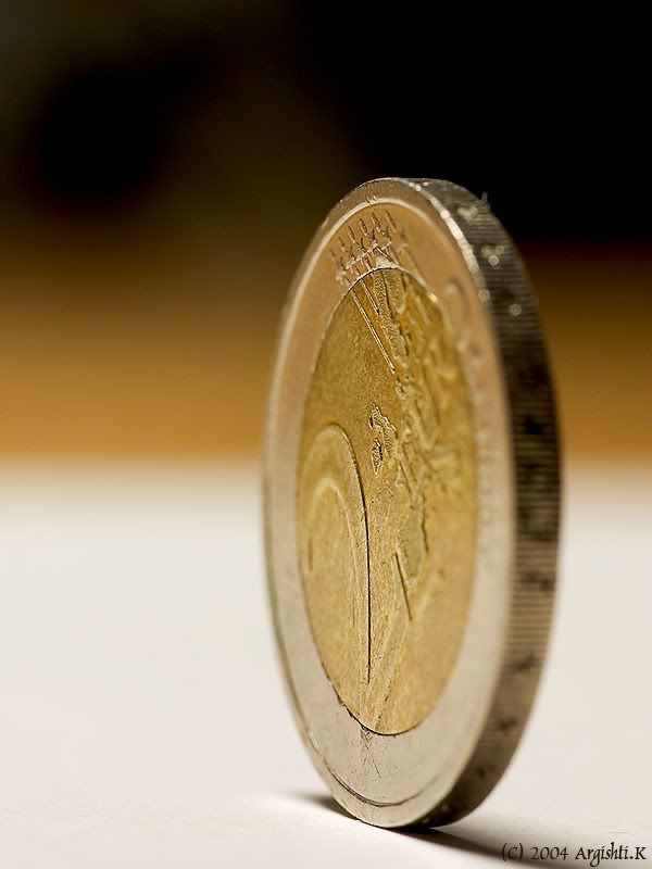 17324_makro_03.jpg