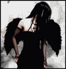 4337929454dn.gif