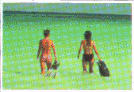 anim8df.gif