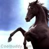 animal03.jpg