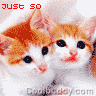 animal35.gif